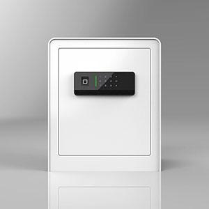 YF5-biometric fingerprint lock for safe